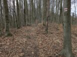 Ku Sokoliemu kameňu kedysi viedla aj žltá trasa 8117 (2025)